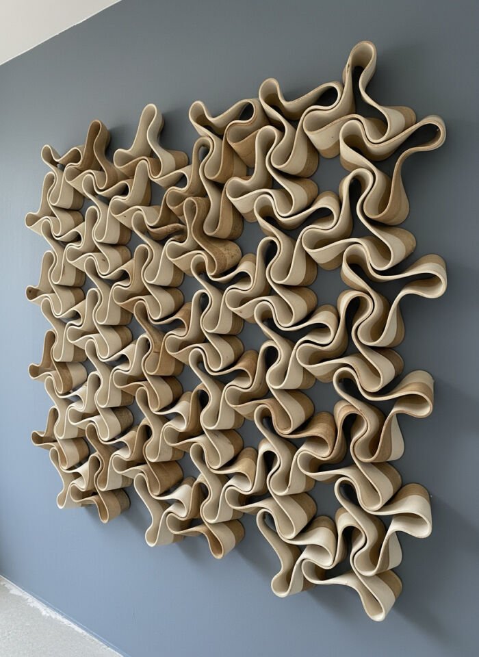 Organik Kıvrımlı Forma Sahip Duvar Karosu